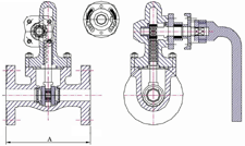 Cast Steel Globedown Valves