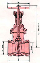 Screwed End Valves