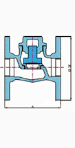 Steam Non-Return Valve